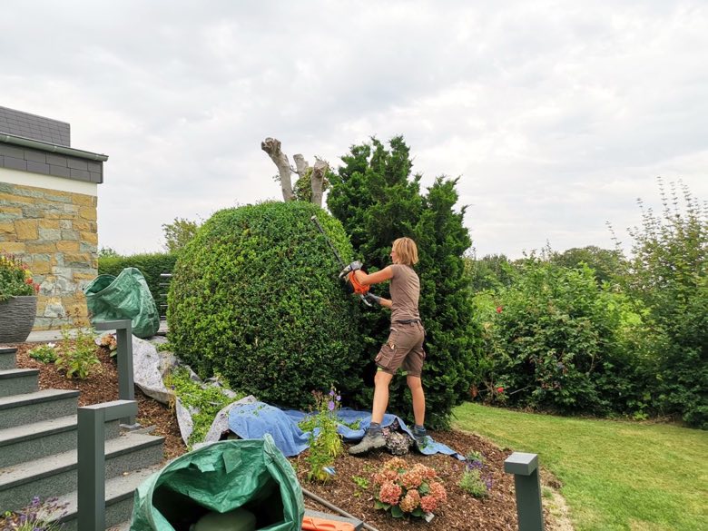 Pflanzarbeiten im Garten